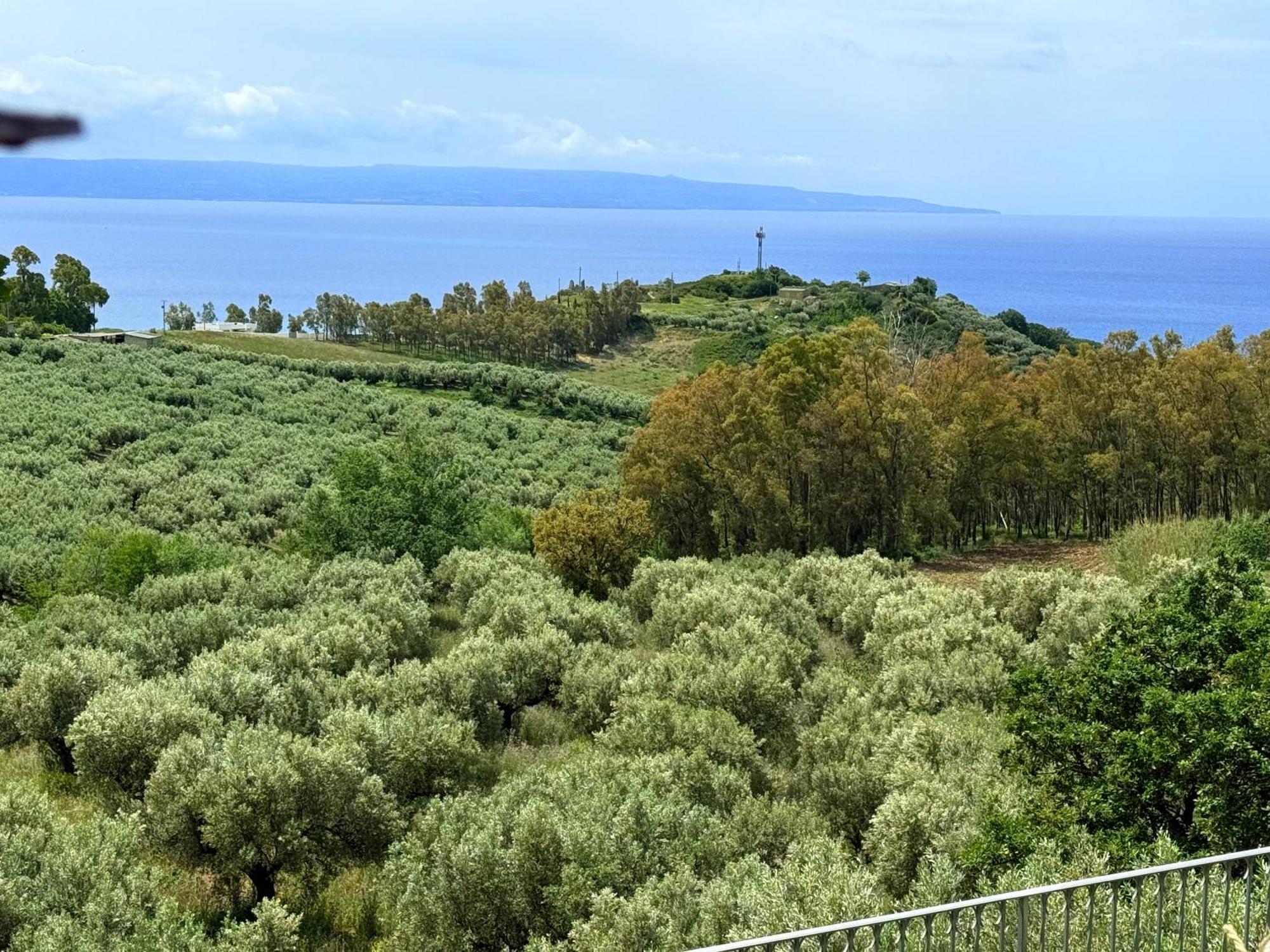 Bed and Breakfast Casale Calabria Джиццерія Екстер'єр фото